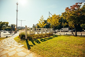 강동구 길동생태공원 - 갤러리 이미지 9