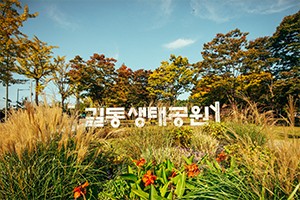 강동구 길동생태공원 - 갤러리 이미지 10